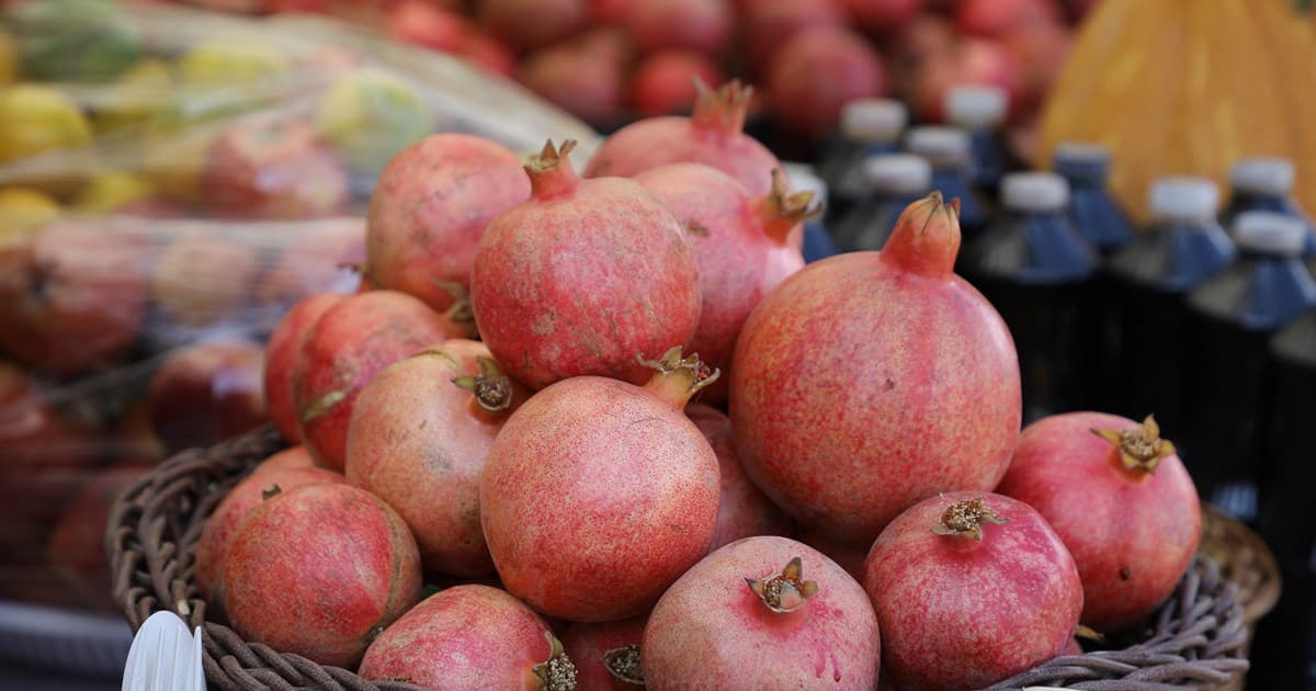 Pomegranates and Culture Shine at Halabja’s Annual Autumn Festival
